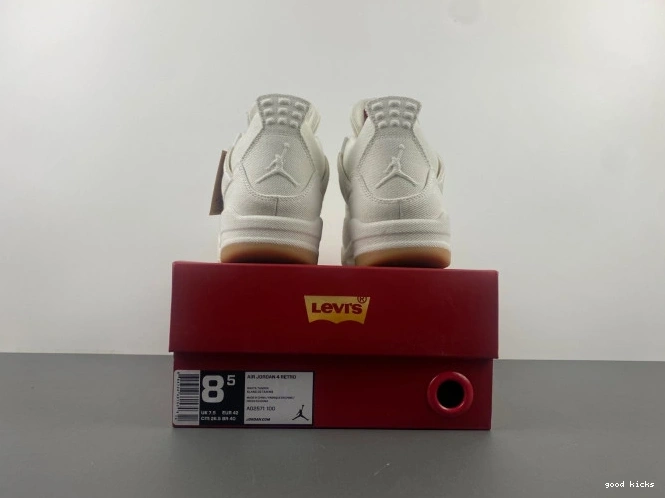Cheap Levi's 4 Air AO2571-100 'White' Jordan x 0630